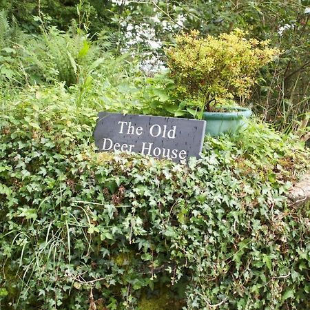 The Old Deer House Bed & Breakfast โบดมิน ภายนอก รูปภาพ